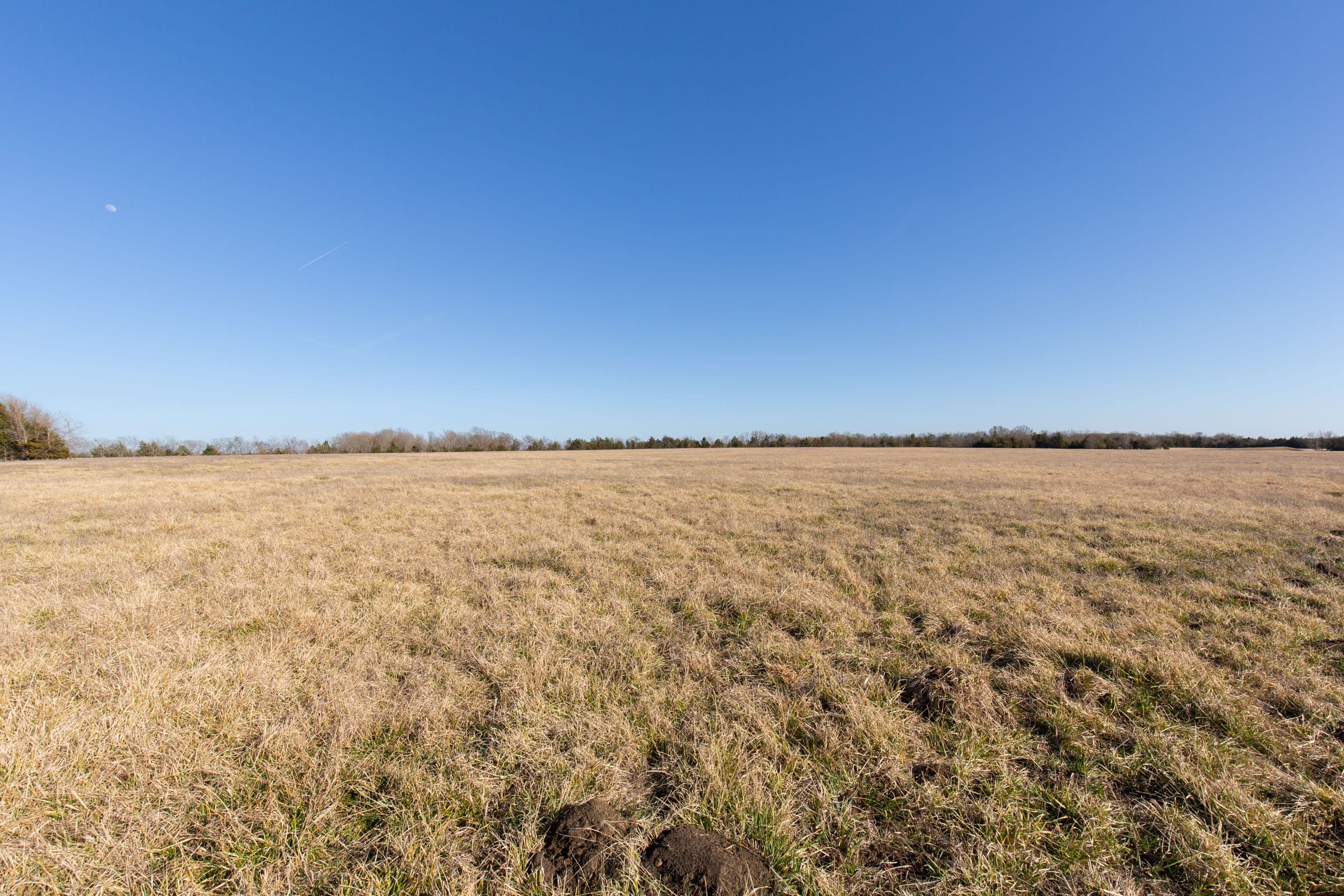 Wishing Star Ranch Tract 76 photo 2