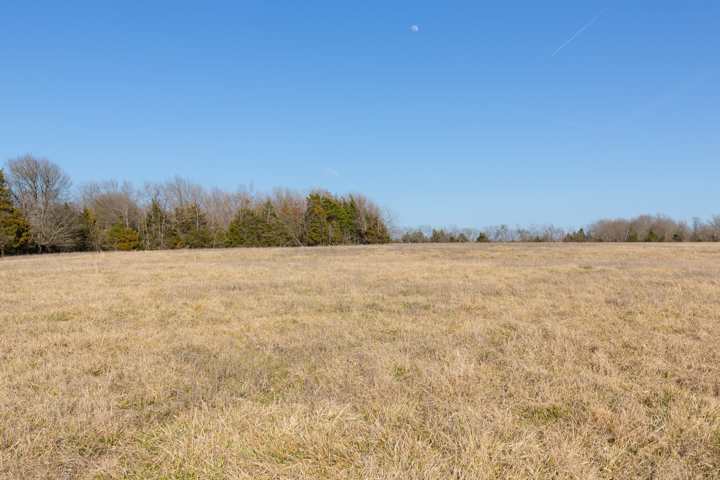 Wishing Star Ranch Tract 76 photo 3