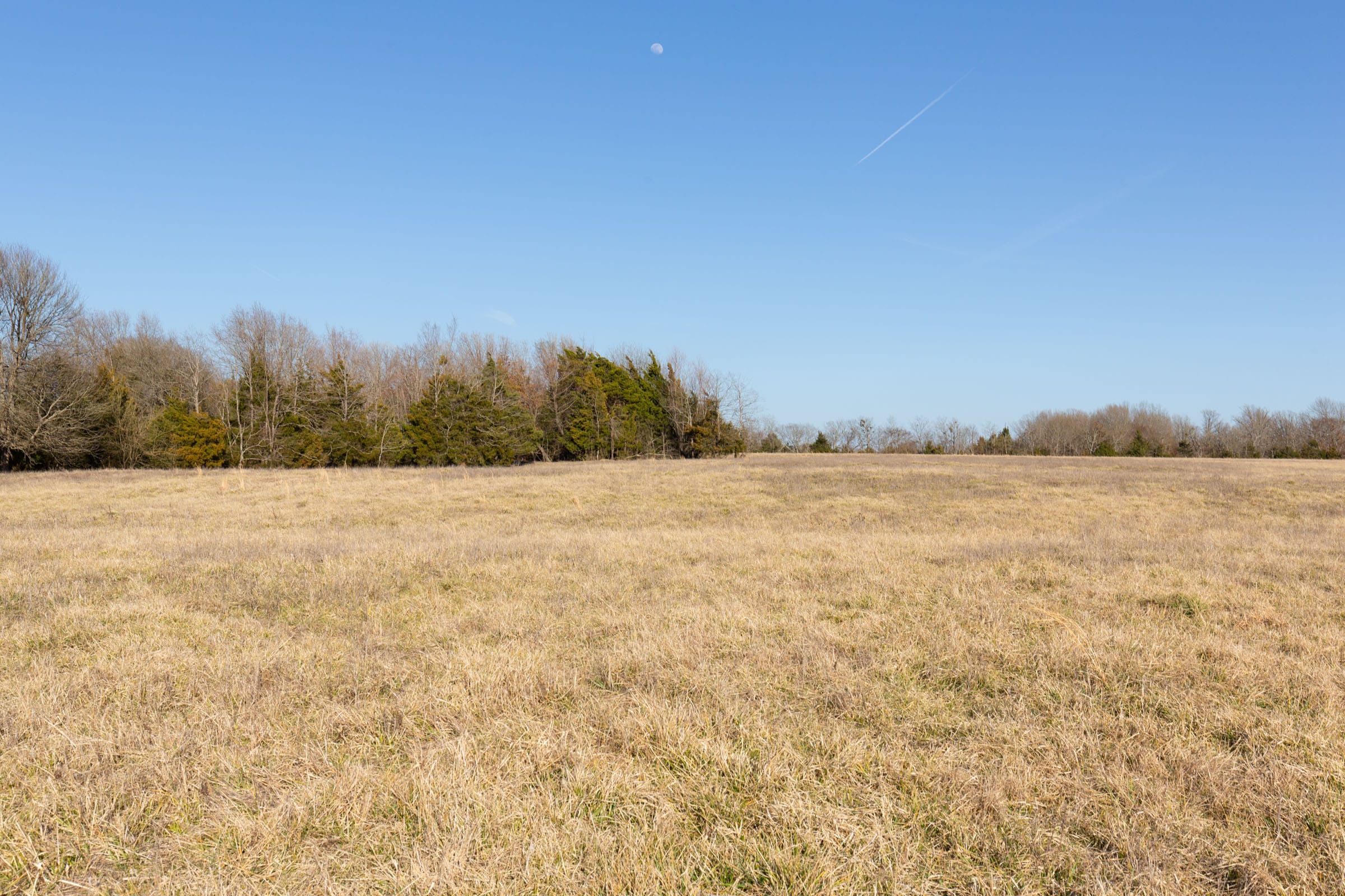 Wishing Star Ranch Tract 76 photo 4