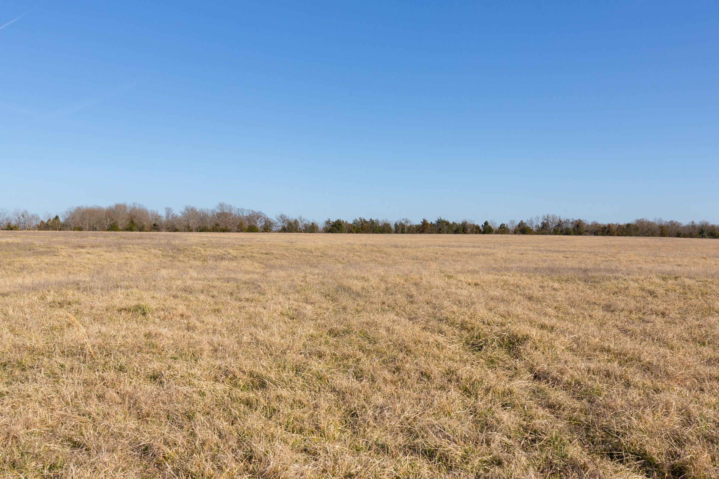 Wishing Star Ranch Tract 76 photo 5