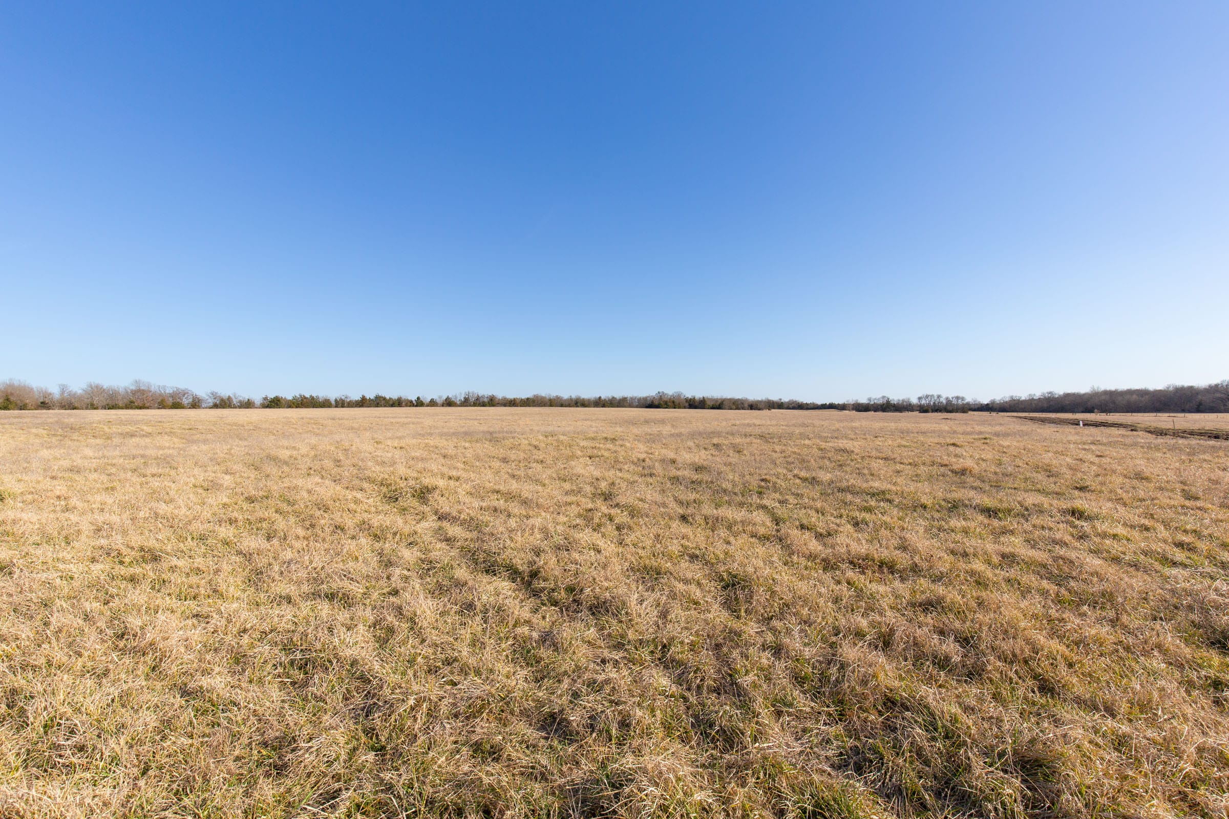 Wishing Star Ranch Tract 76 photo 7