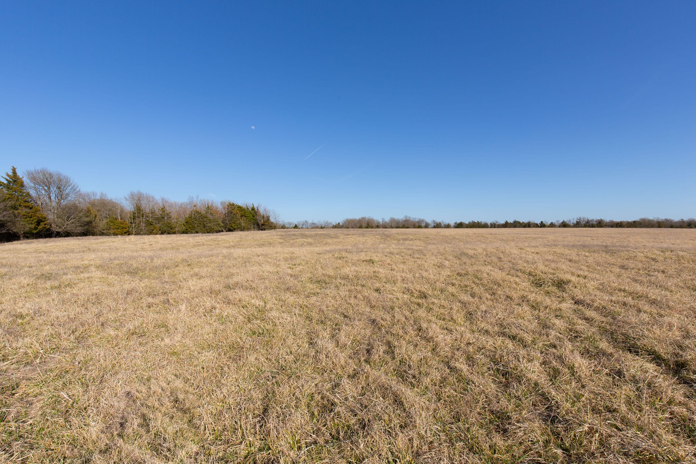 Wishing Star Ranch Tract 76 photo 8
