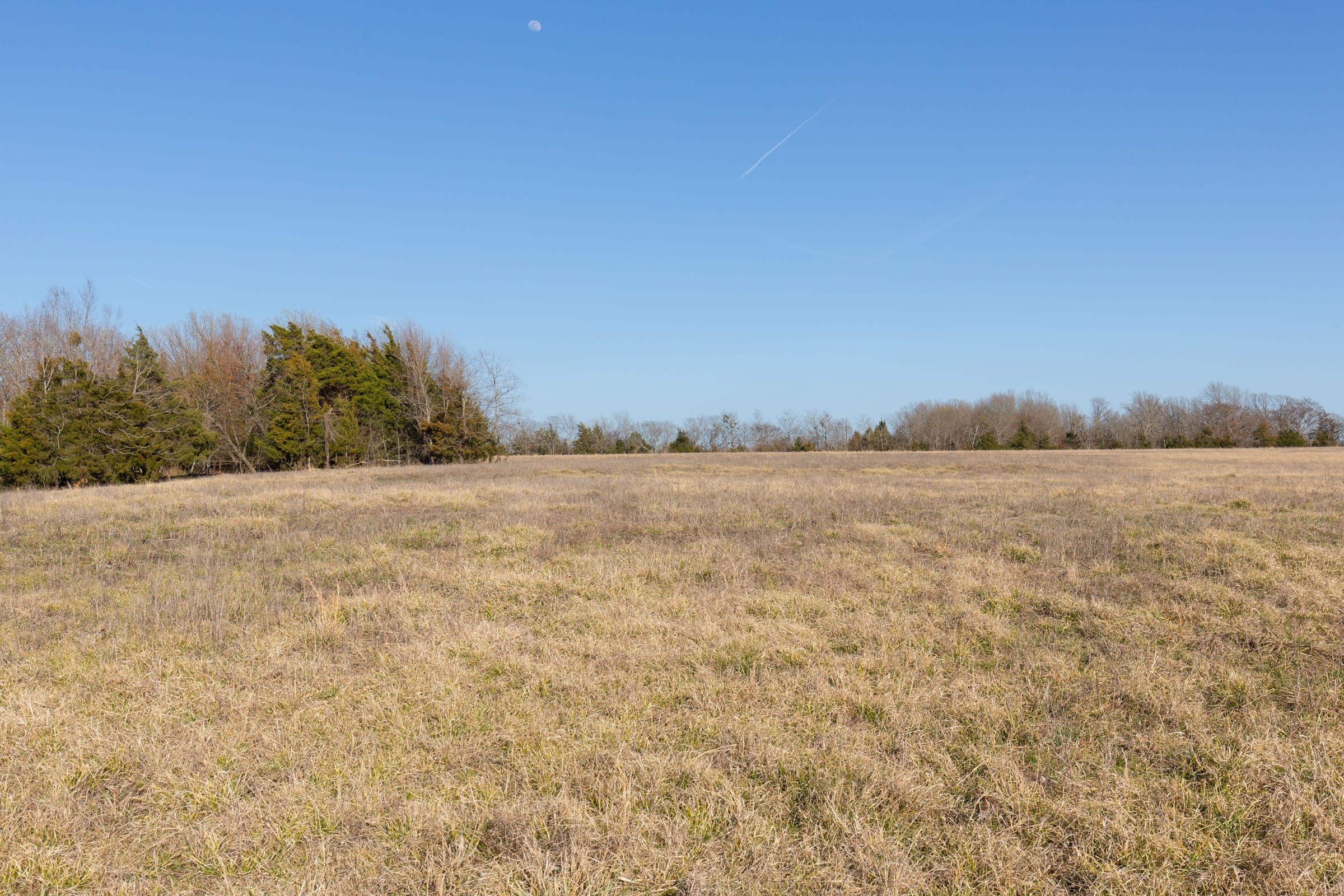 Wishing Star Ranch Tract 76 photo 9