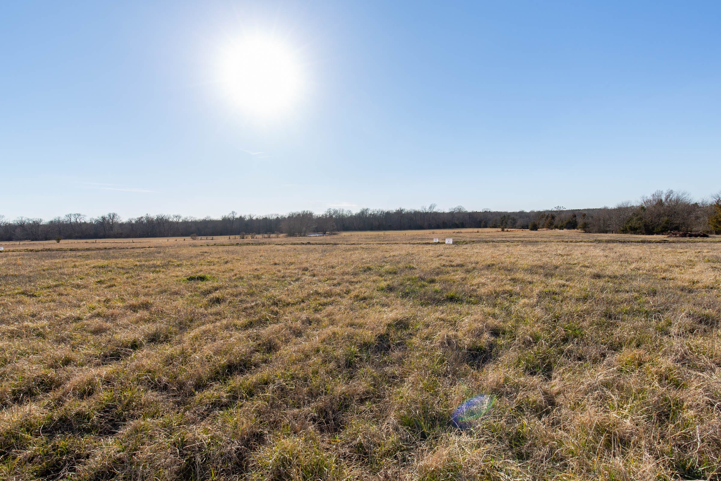 Wishing Star Ranch Tract 76 photo 11