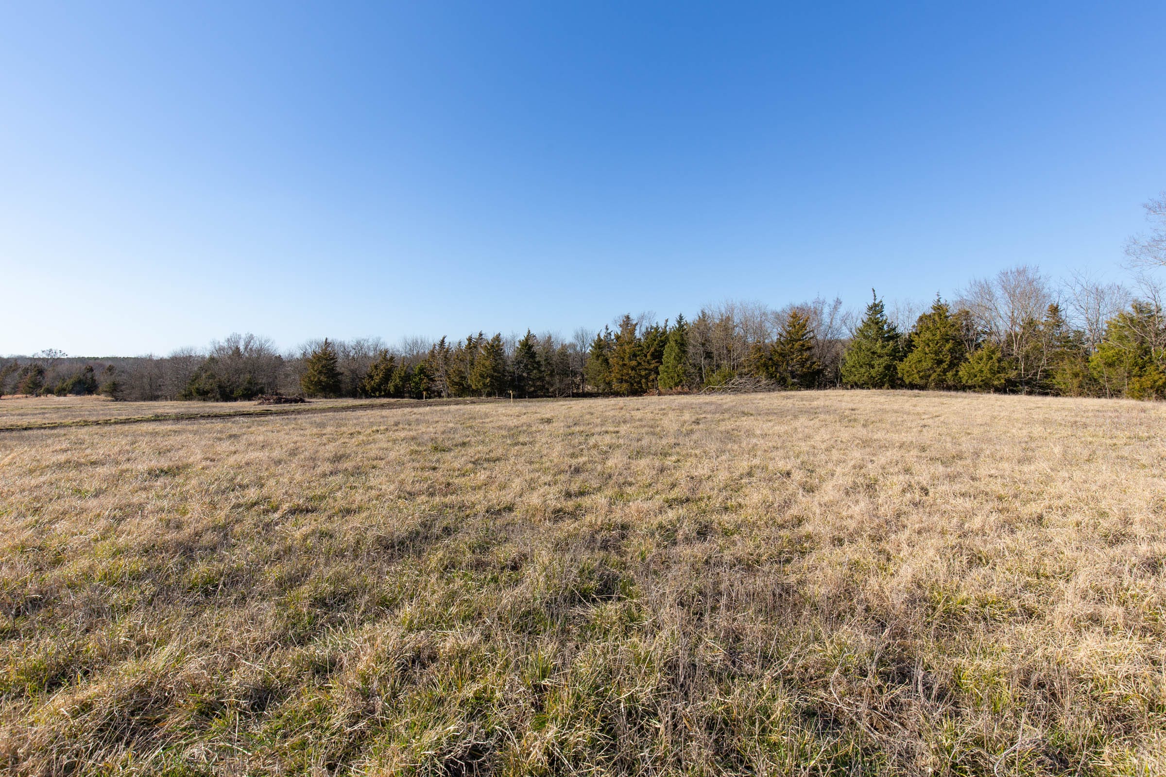 Wishing Star Ranch Tract 76 photo 12