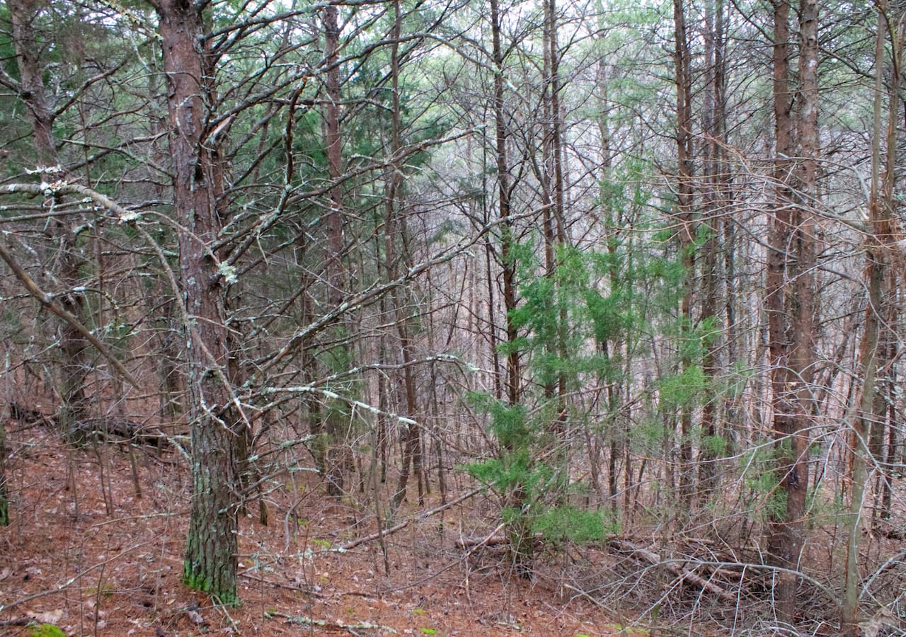 Majestic Rock Ranch Tract 1 photo 3
