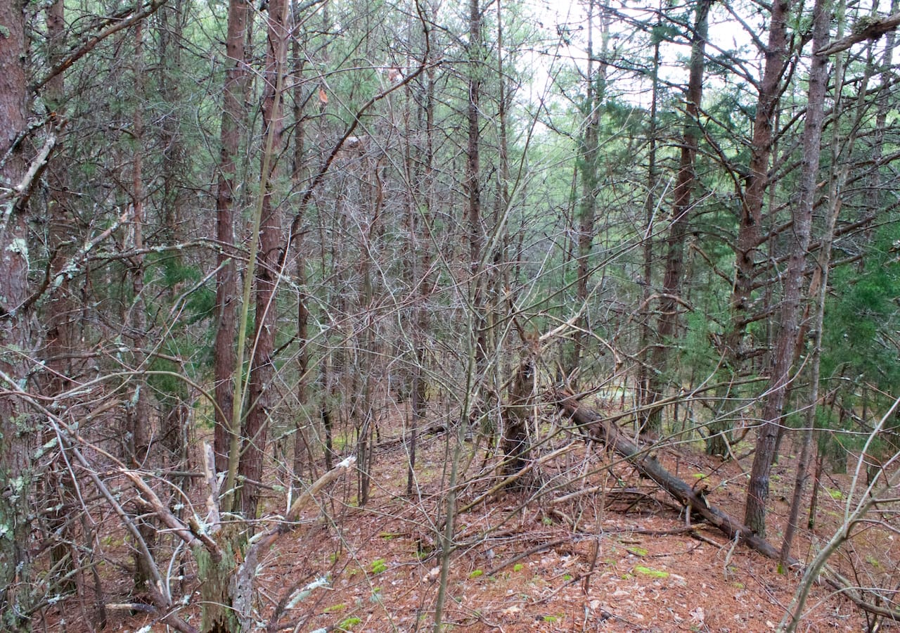 Majestic Rock Ranch Tract 1 photo 4