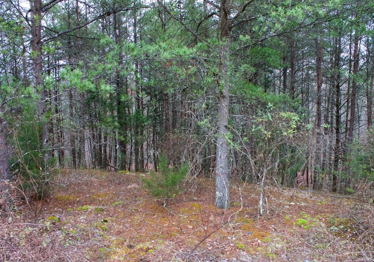 Majestic Rock Ranch Tract 1 photo 5
