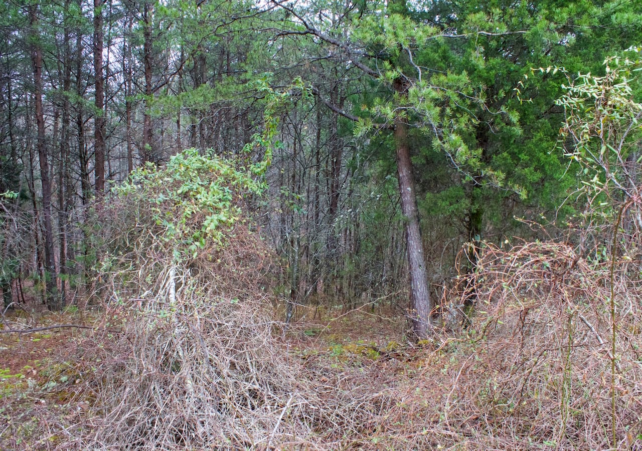 Majestic Rock Ranch Tract 1 photo 6