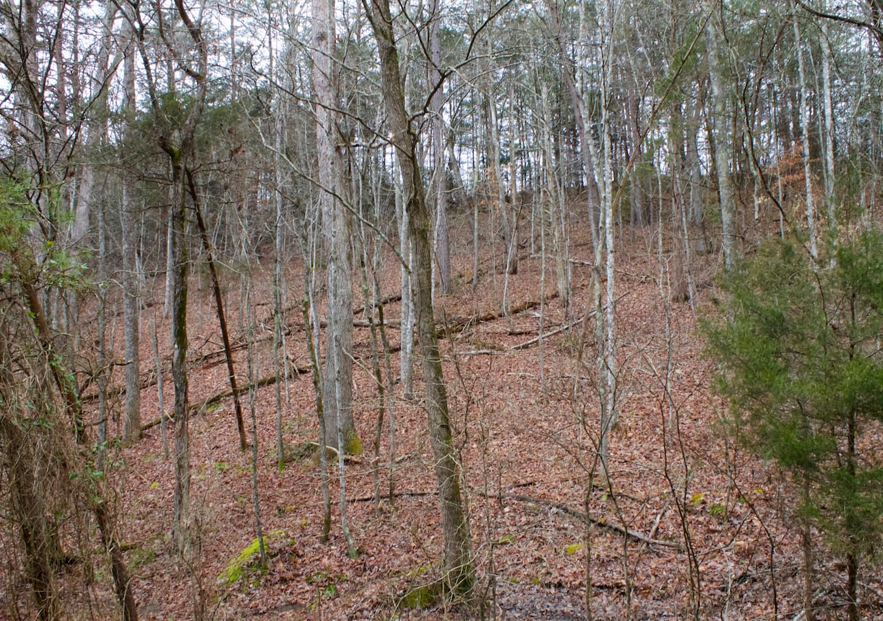 Majestic Rock Ranch Tract 1 photo 8