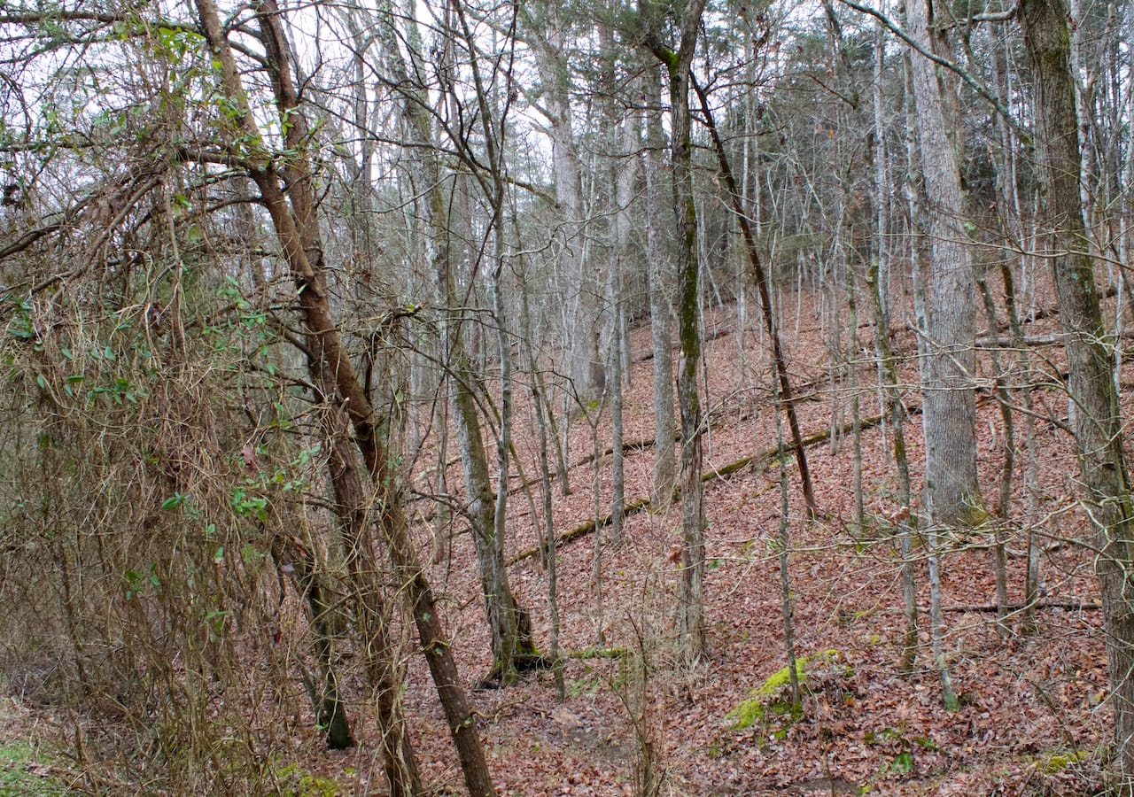 Majestic Rock Ranch Tract 1 photo 10