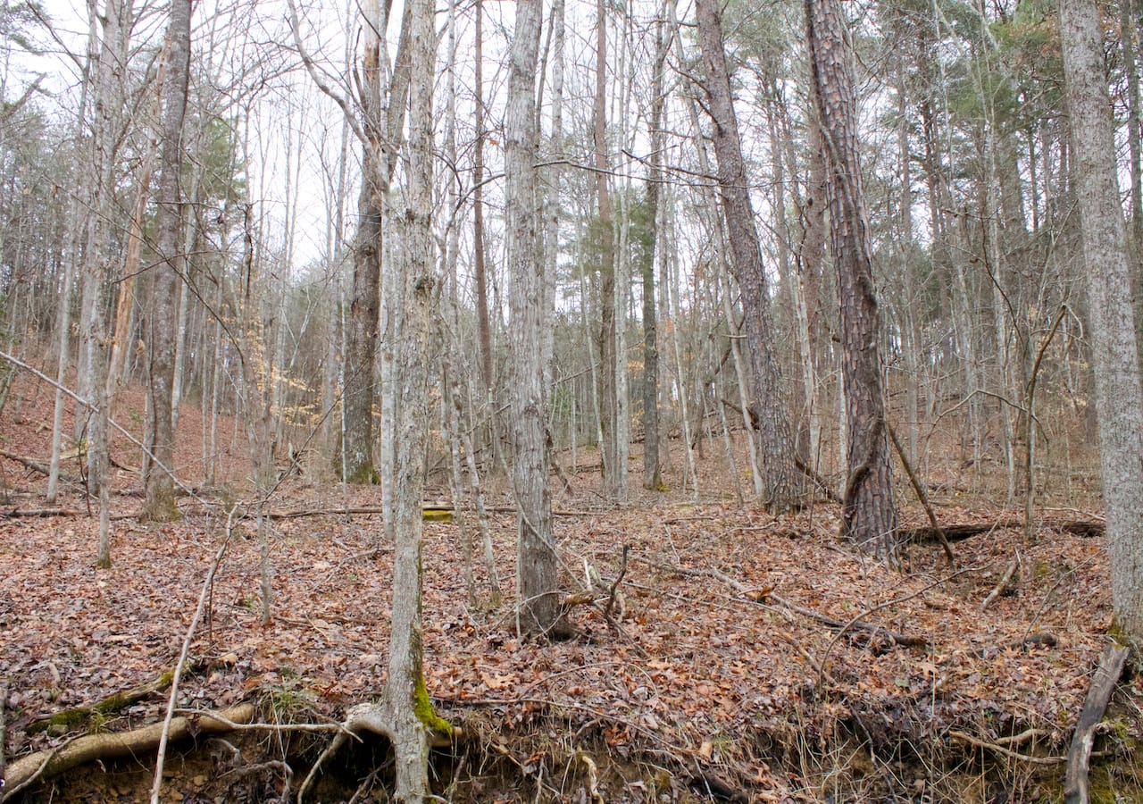 Majestic Rock Ranch Tract 1 photo 11