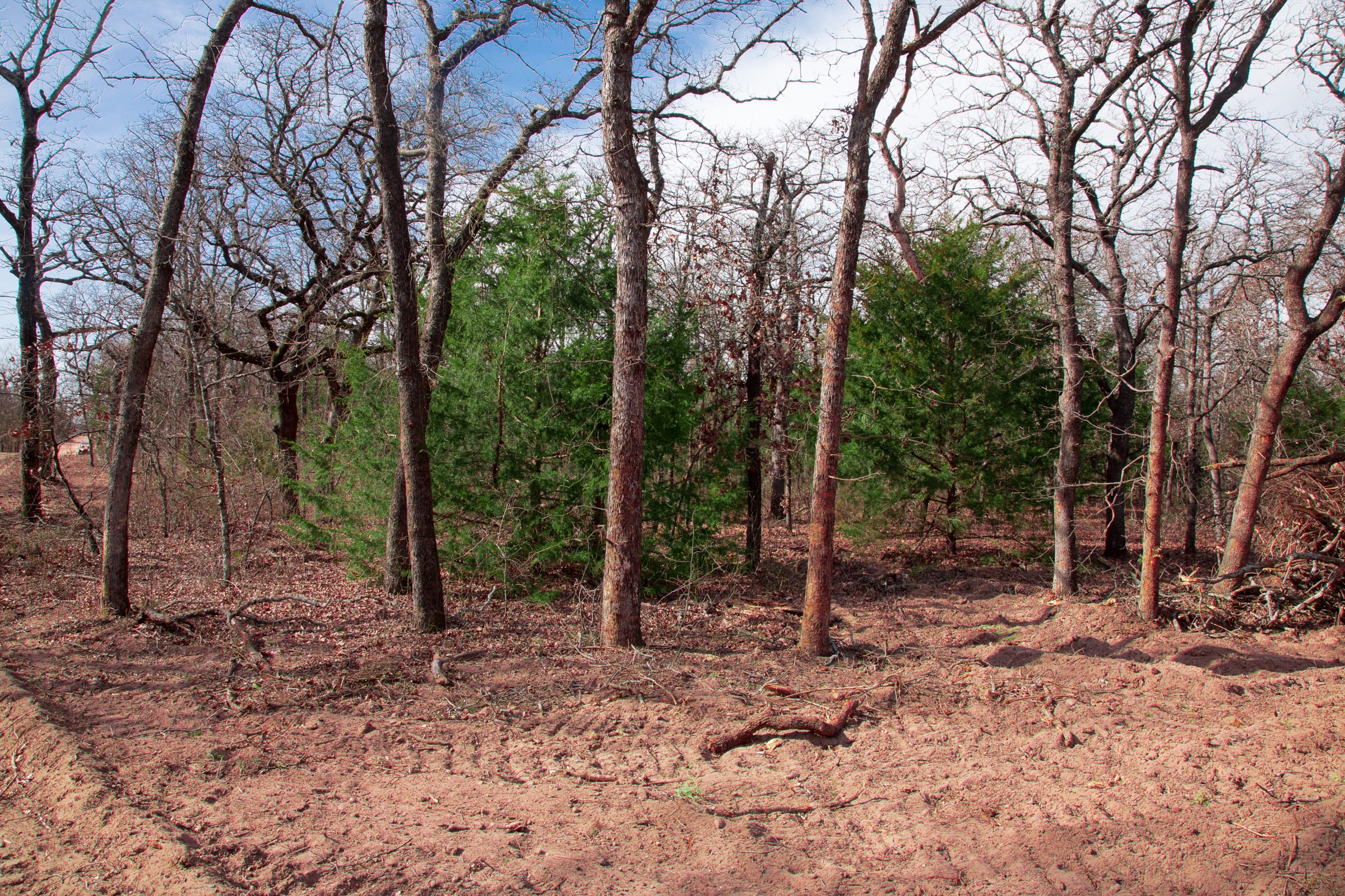 Legacy Ranch Tract 20 photo 5