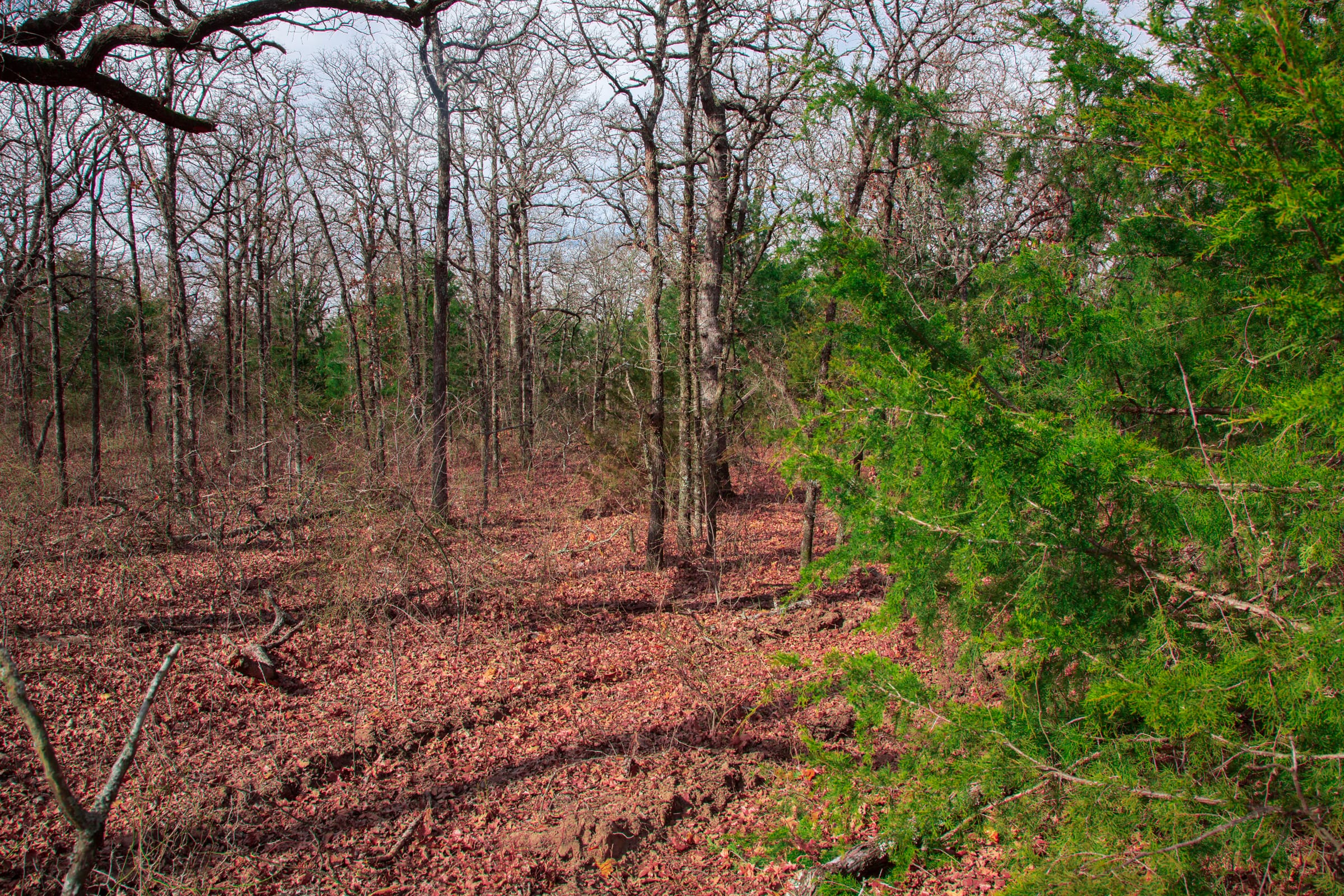 Legacy Ranch Tract 20 photo 6