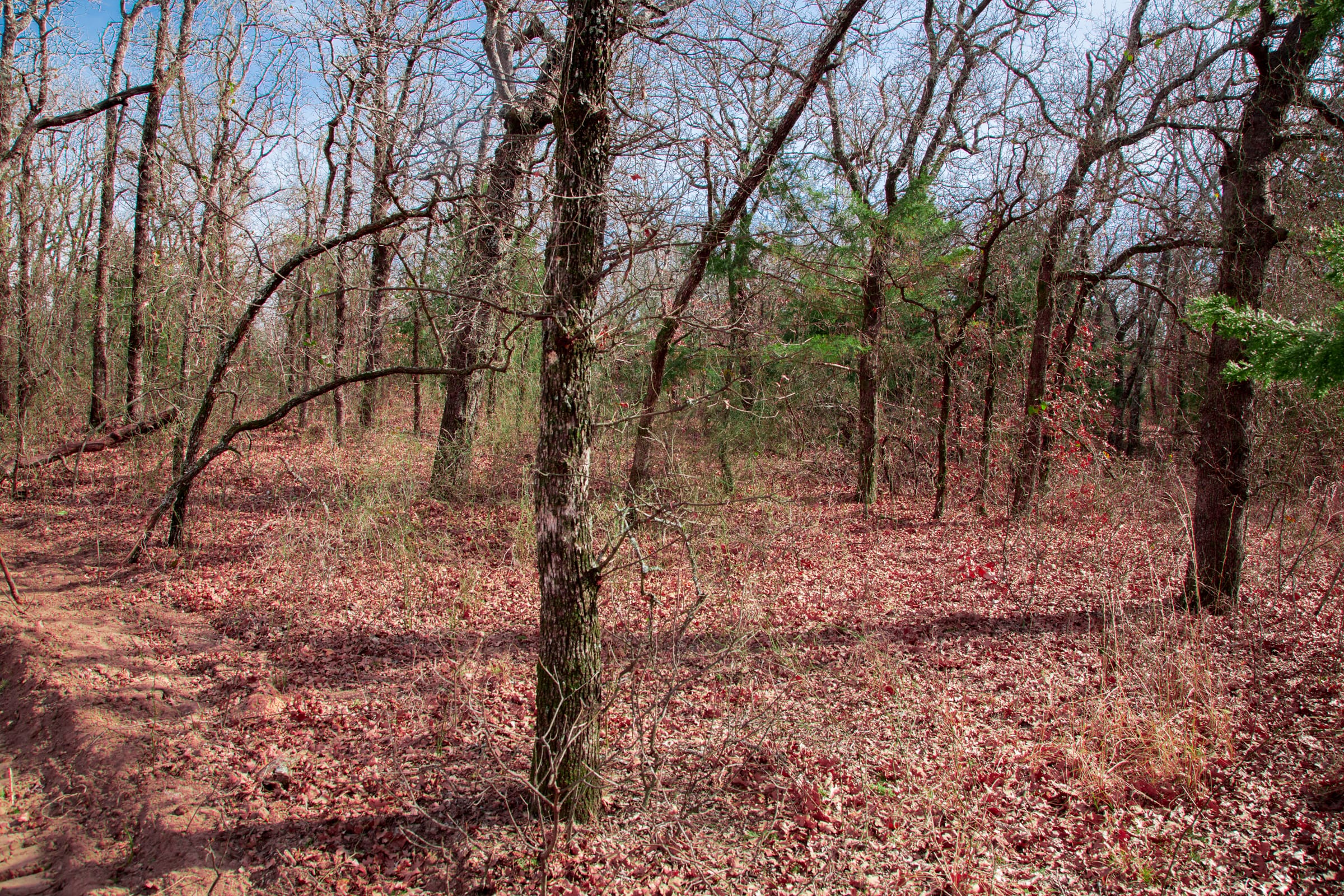 Legacy Ranch Tract 20 photo 8