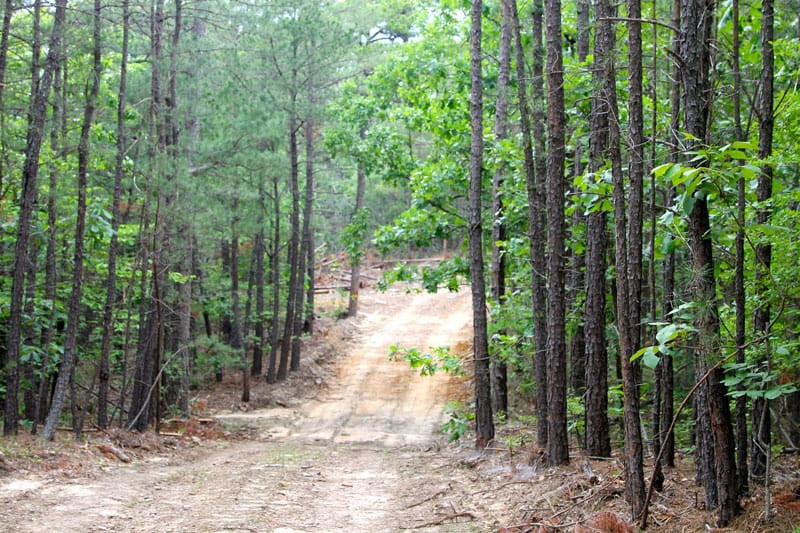 Trophy Ridge Phase II Tract 79 photo 2