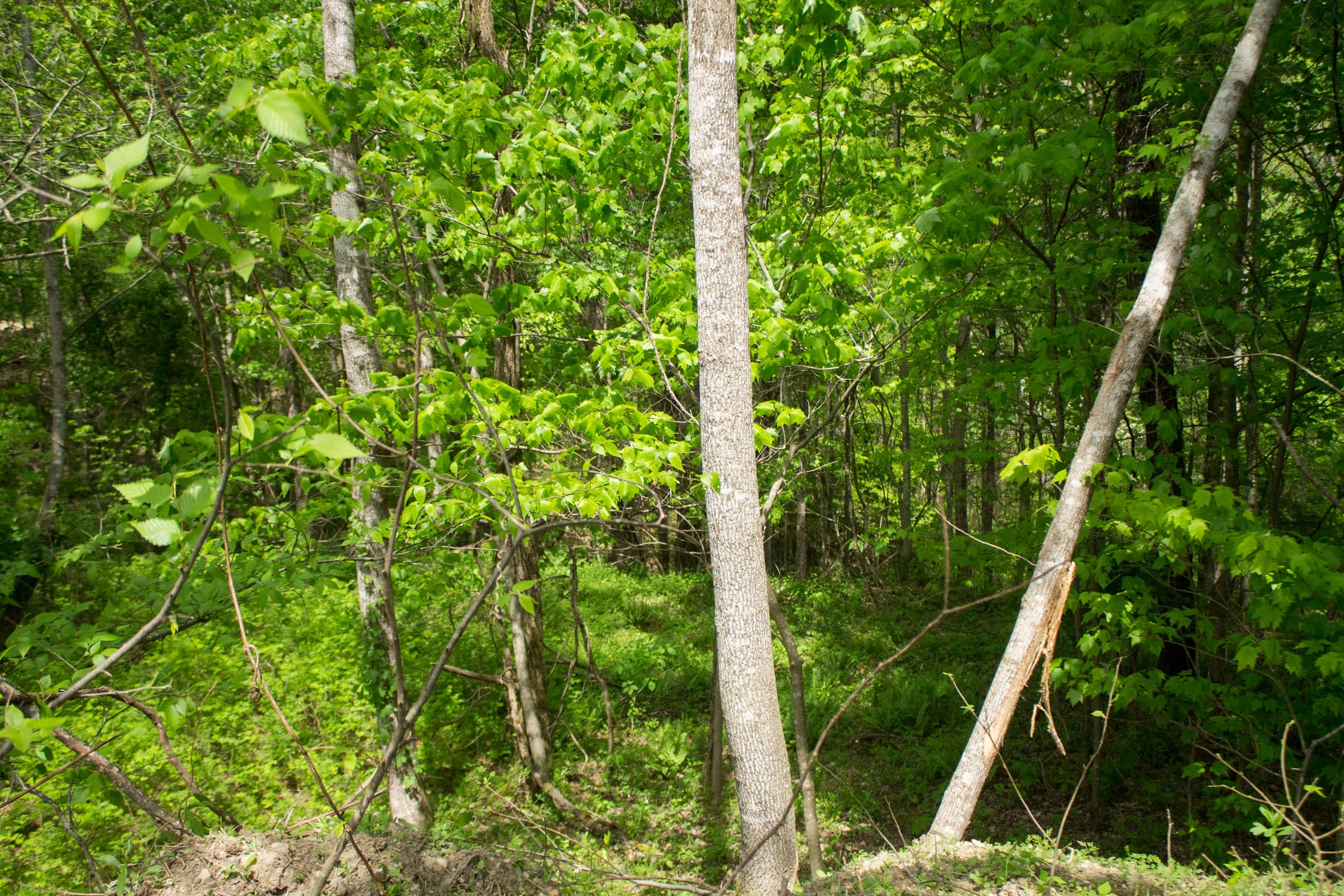 Trails End Tract 3 photo 5