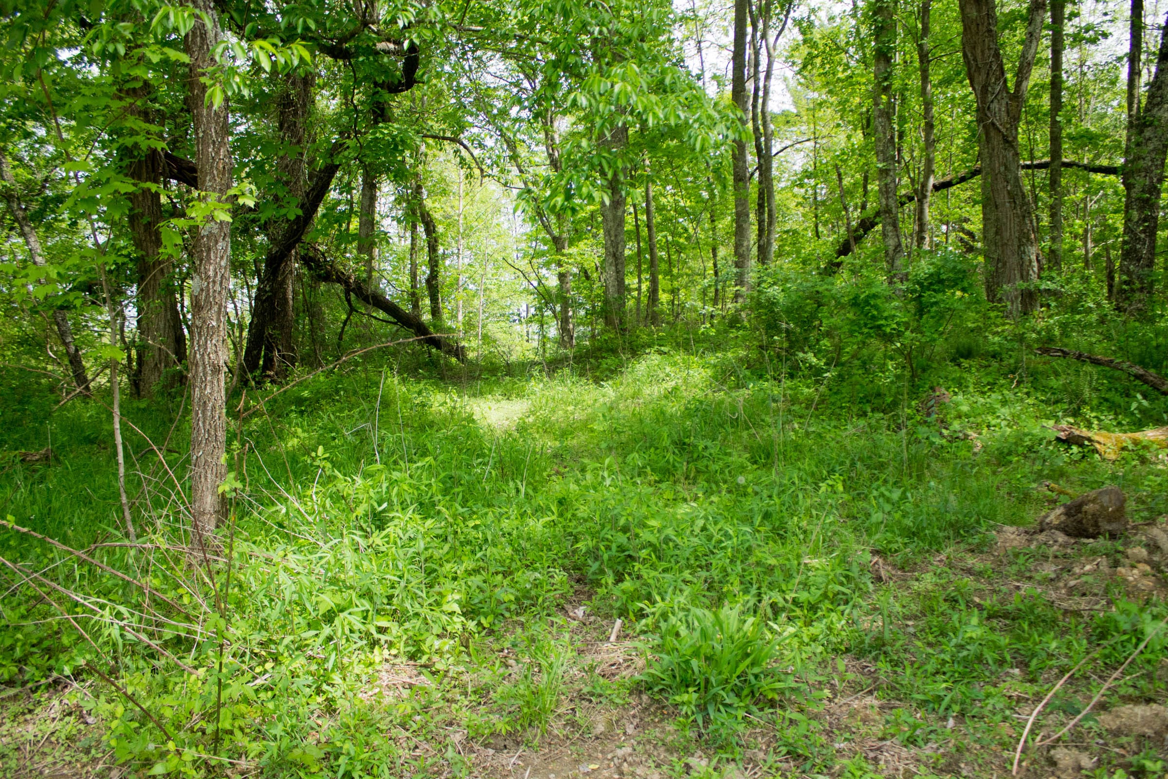 Trails End Tract 3 photo 6
