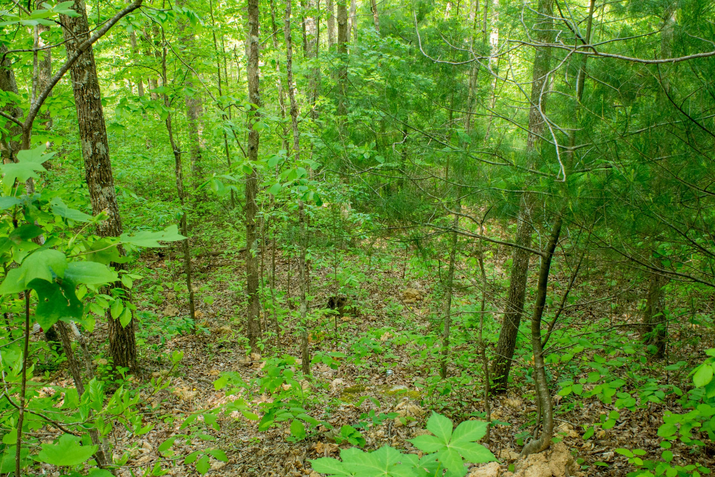 Trails End Tract 3 photo 1