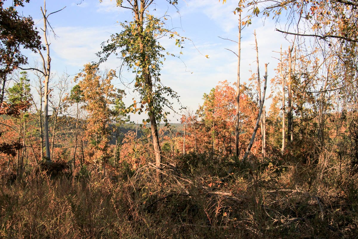 Stone Creek Phase III Tract 41 photo 2