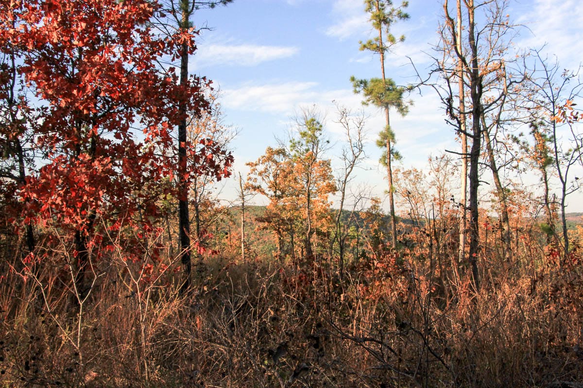 Stone Creek Phase III Tract 41 photo 8
