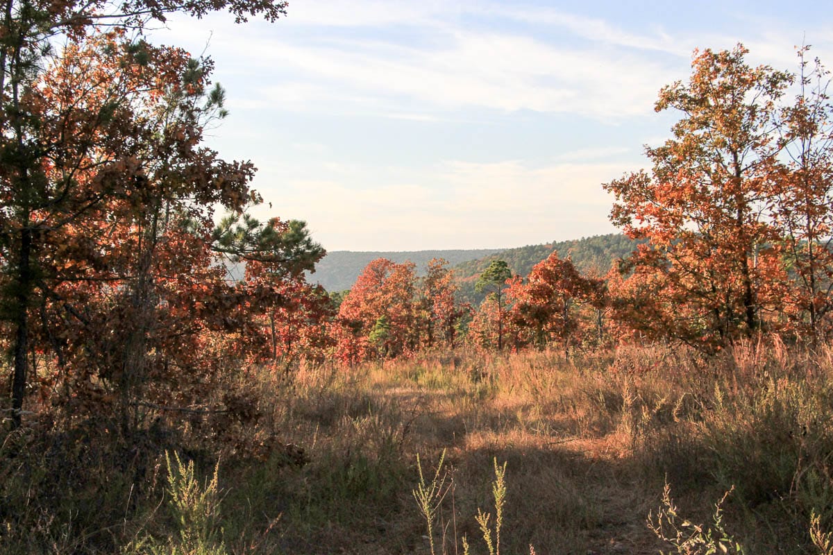 Stone Creek Phase III Tract 41 photo 10