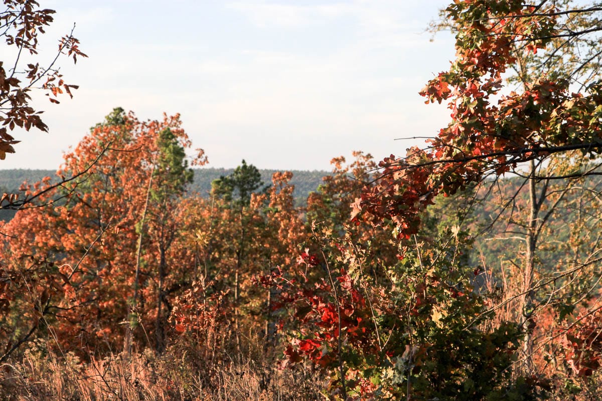 Stone Creek Phase III Tract 41 photo 11