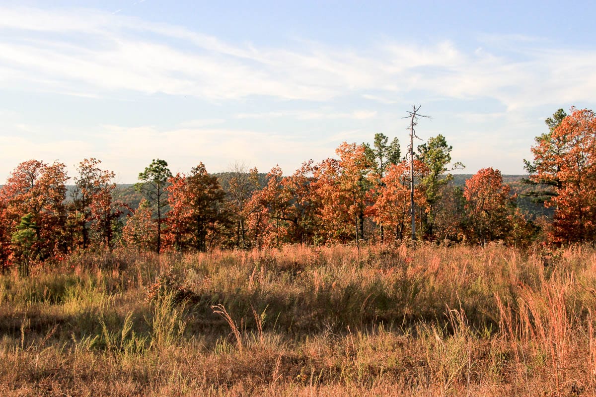Stone Creek Phase III Tract 41 photo 12