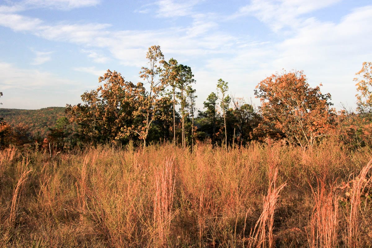 Stone Creek Phase III Tract 41 photo 13
