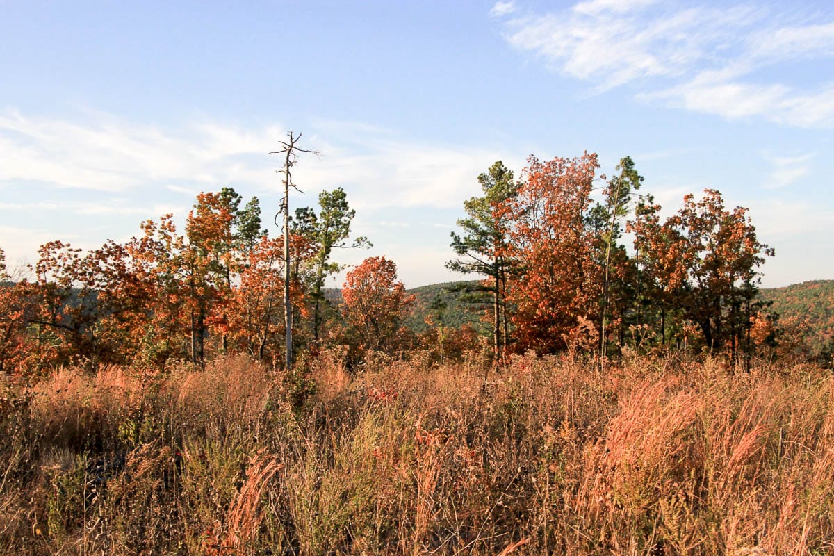 Stone Creek Phase III Tract 41 photo 14
