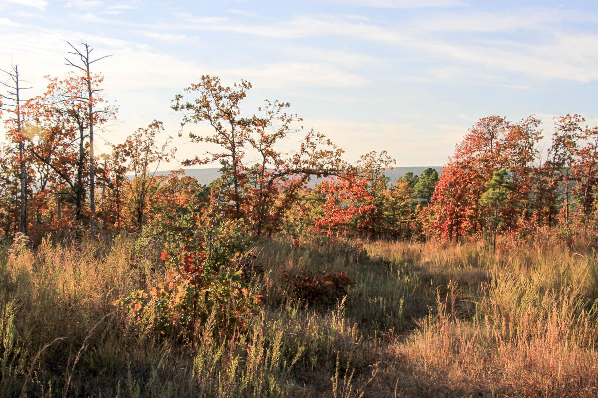 Stone Creek Phase III Tract 41 photo 15