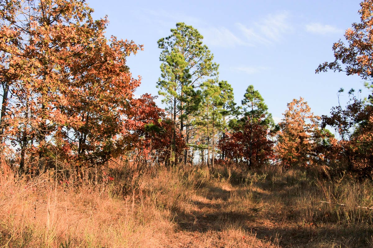 Stone Creek Phase III Tract 41 photo 16