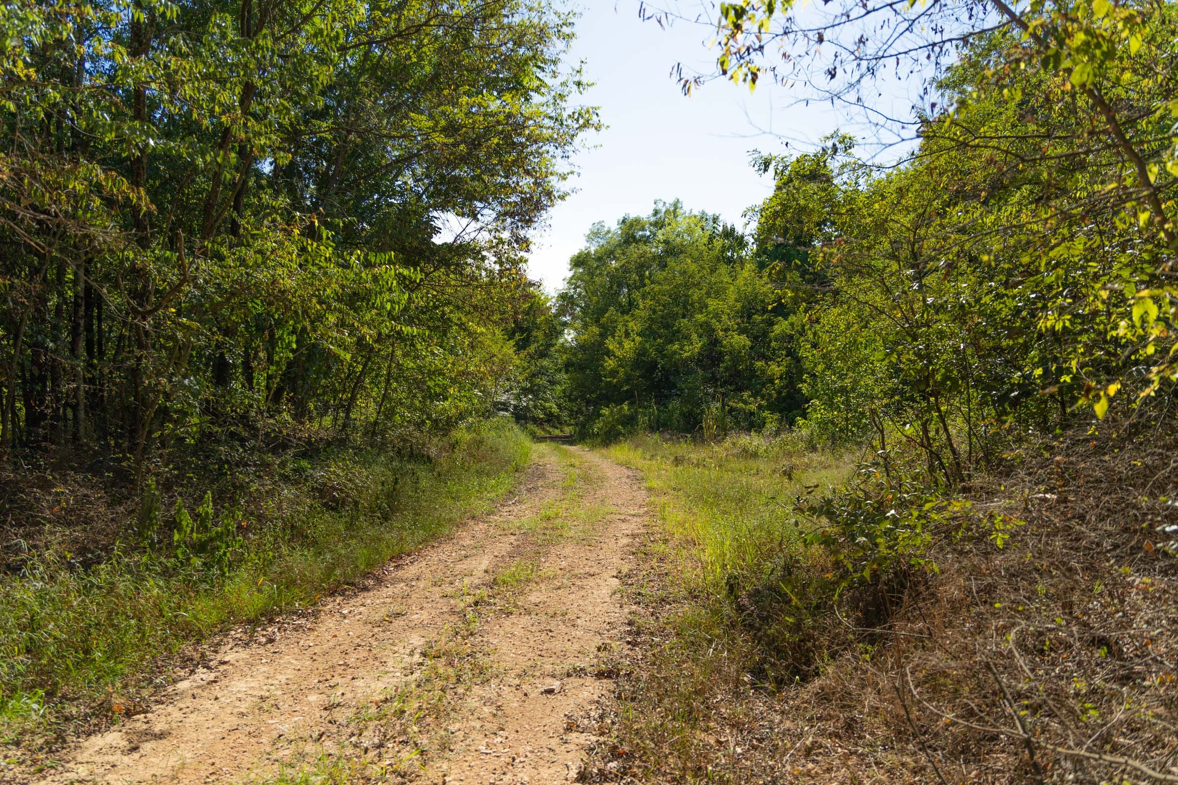 Big White Oak Tract 99 photo 21