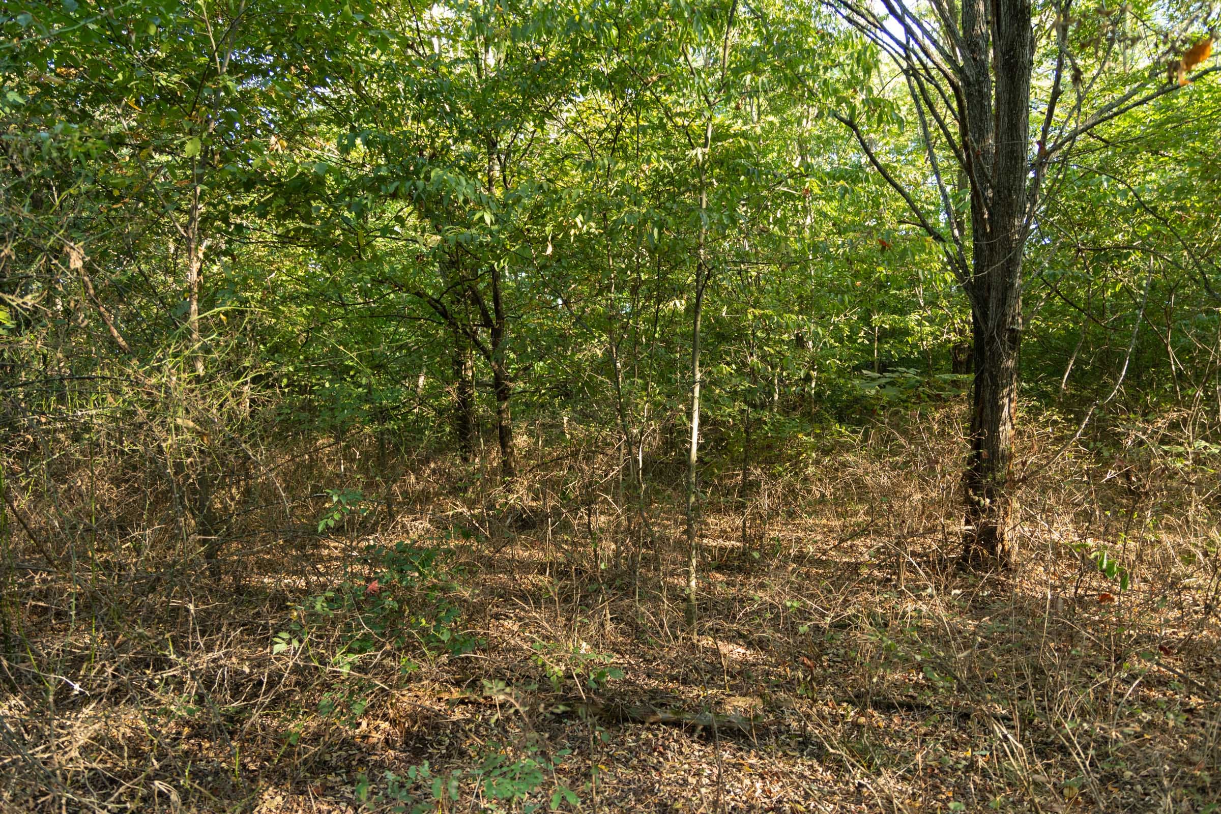 Big White Oak Tract 99 photo 18