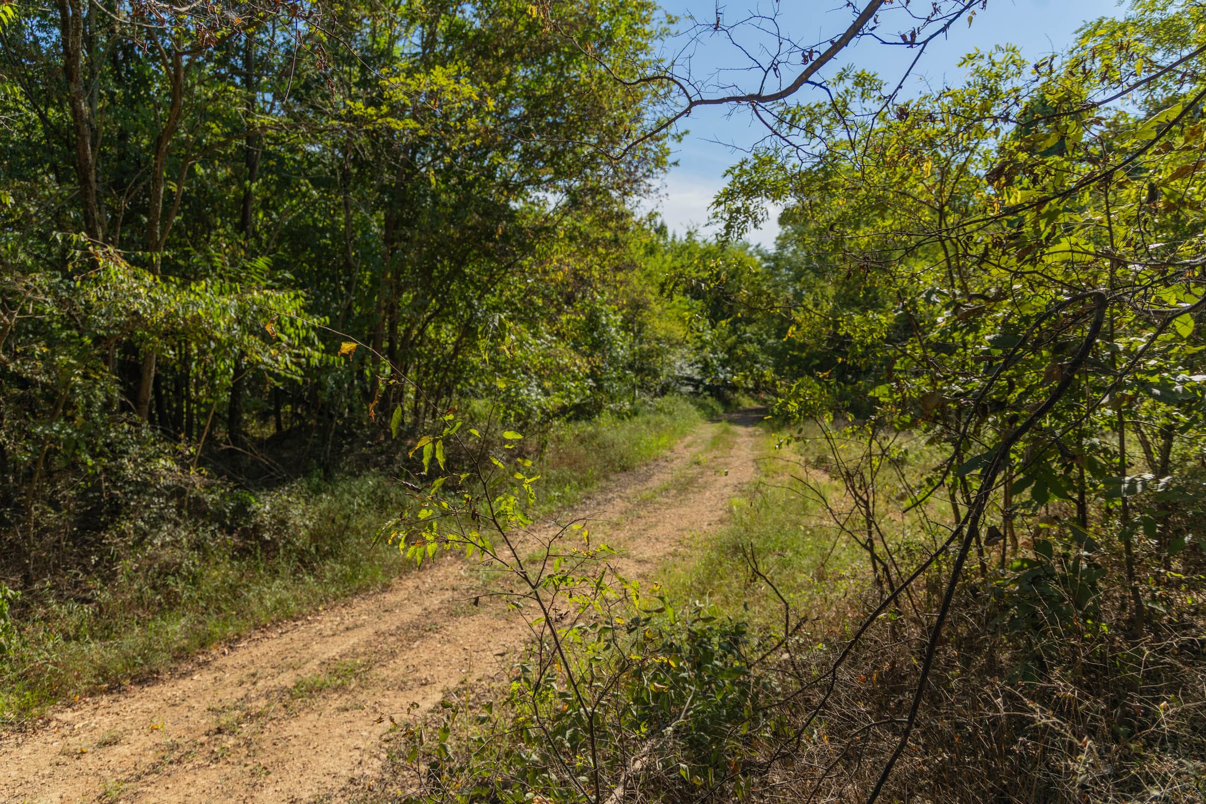 Big White Oak Tract 99 photo 17