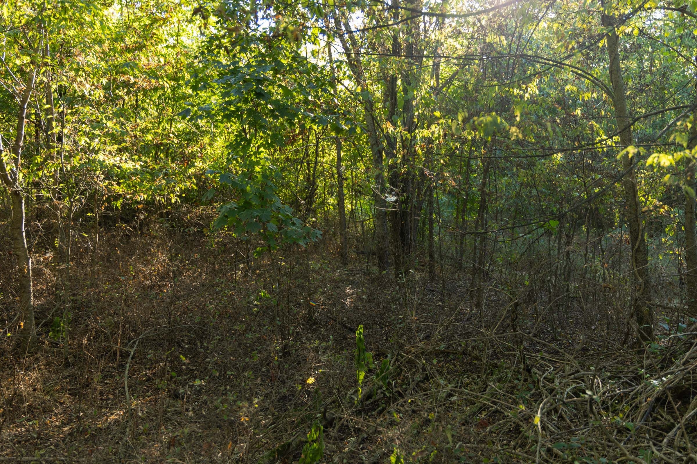 Big White Oak Tract 99 photo 16