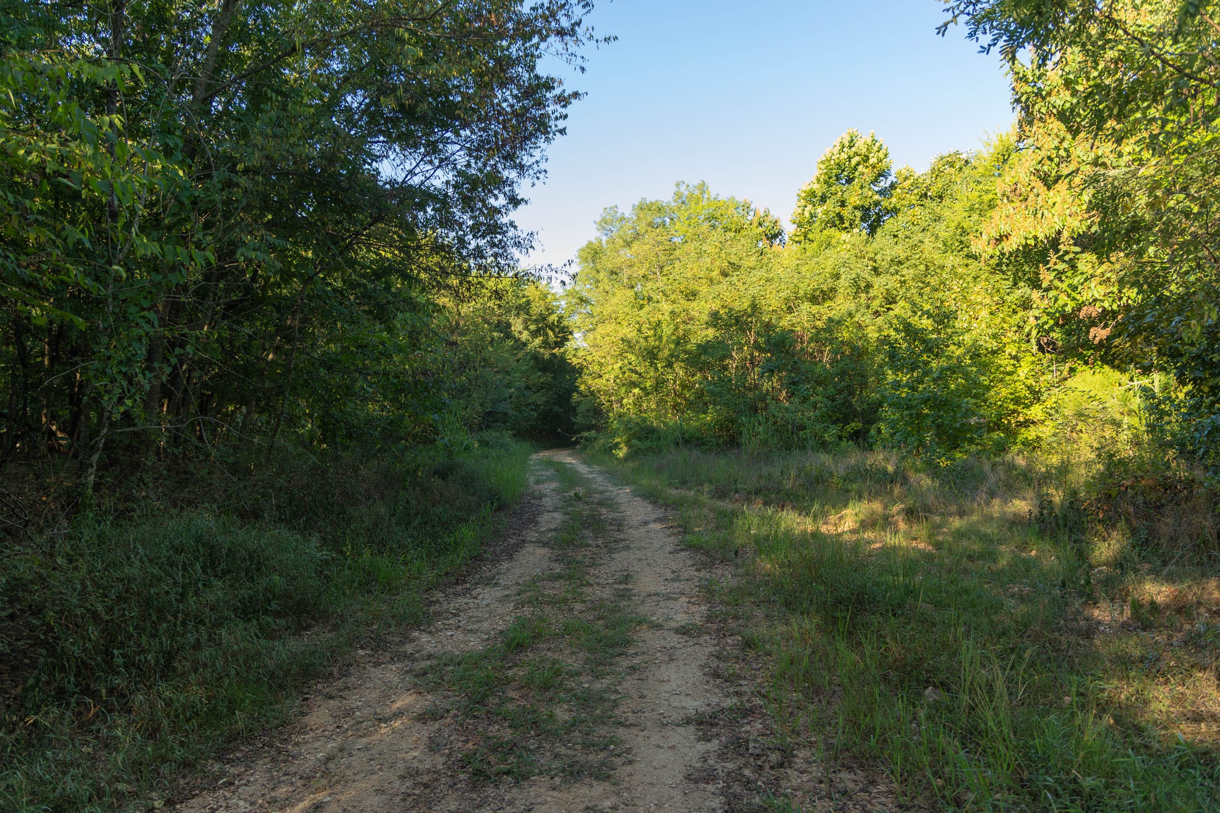 Big White Oak Tract 99 photo 7