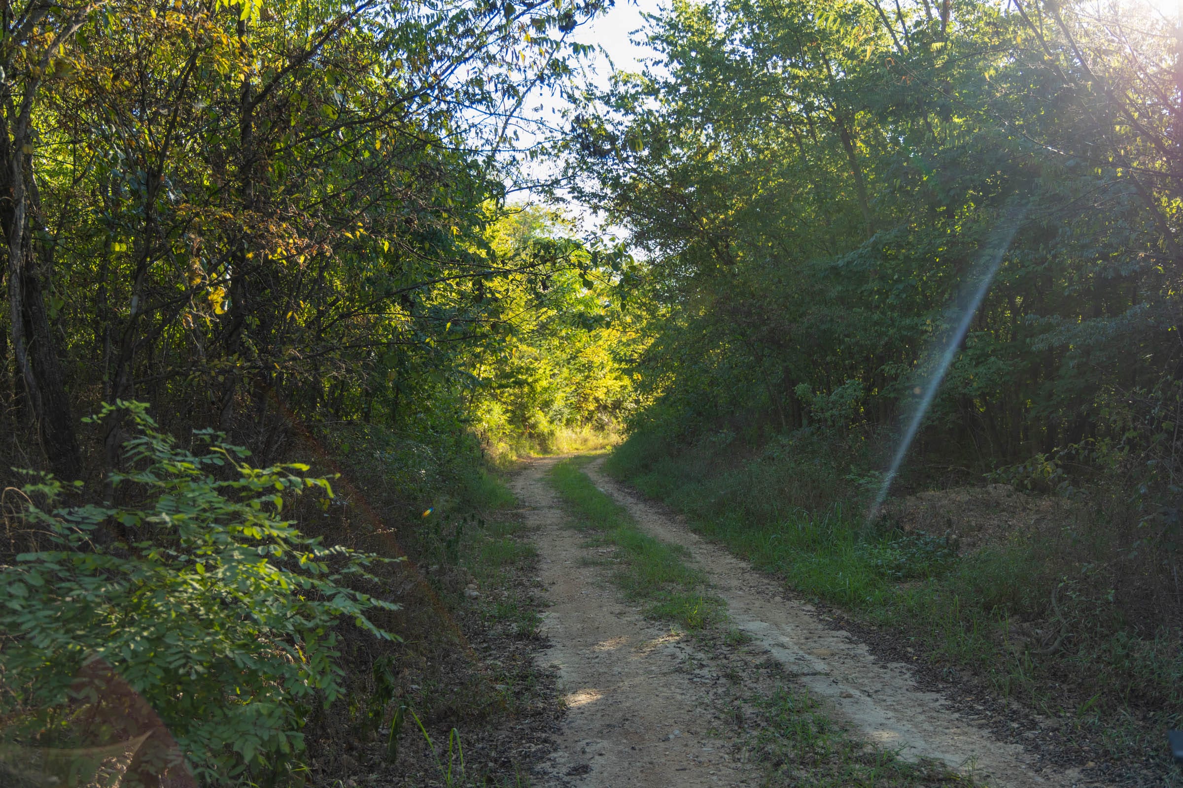 Big White Oak Tract 99 photo 6
