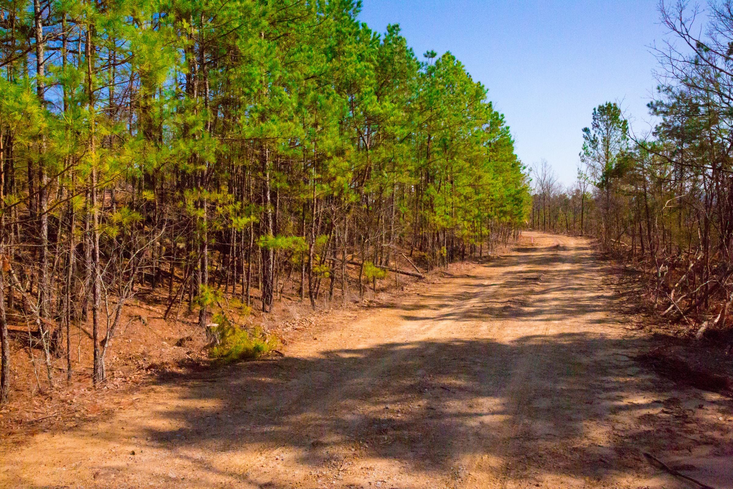 Stone Creek Phase II Tract 96 photo 2
