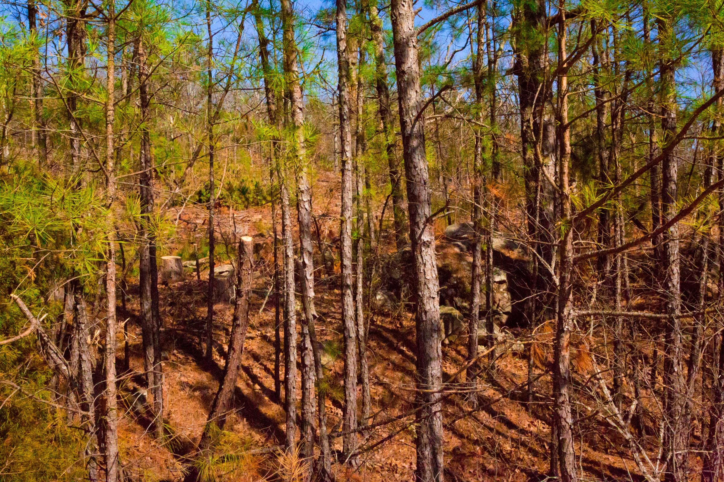 Stone Creek Phase II Tract 96 photo 3