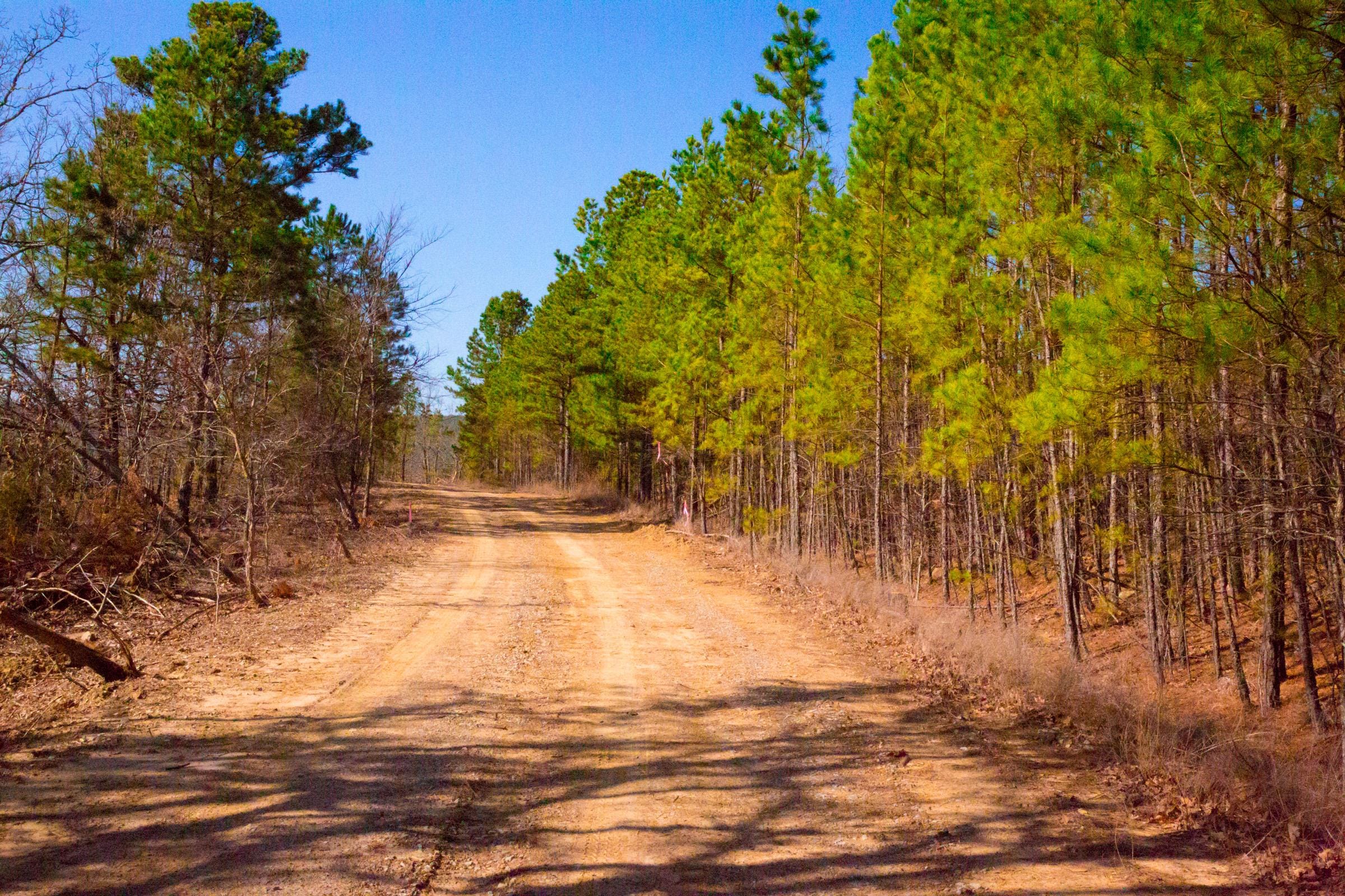 Stone Creek Phase II Tract 96 photo 4