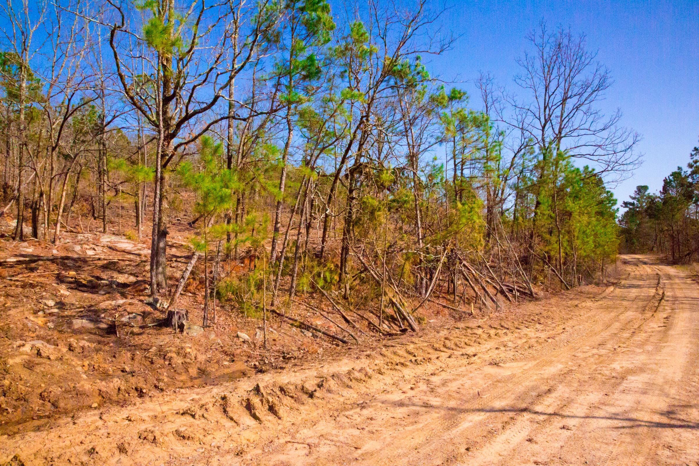 Stone Creek Phase II Tract 96 photo 5