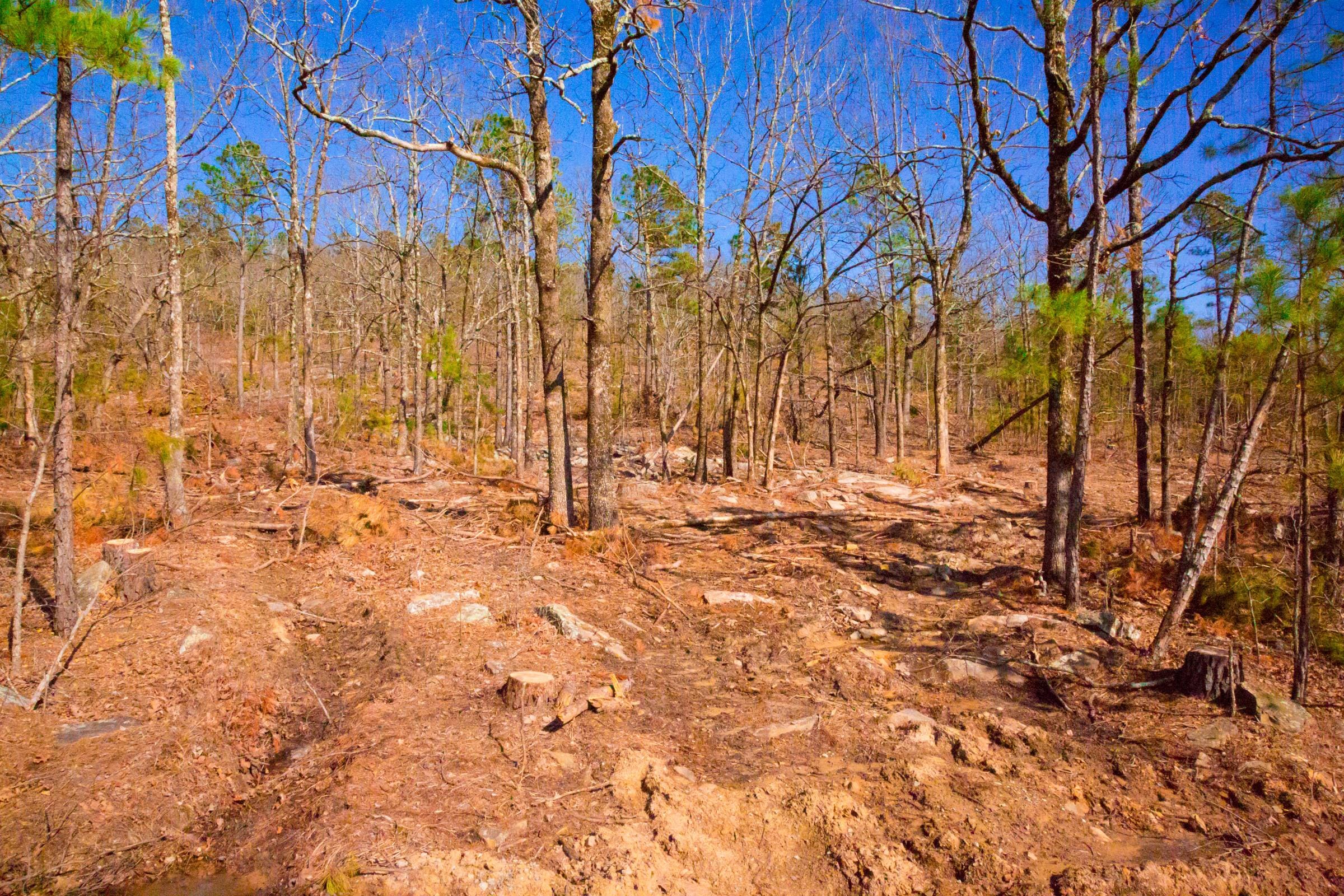 Stone Creek Phase II Tract 96 photo 6