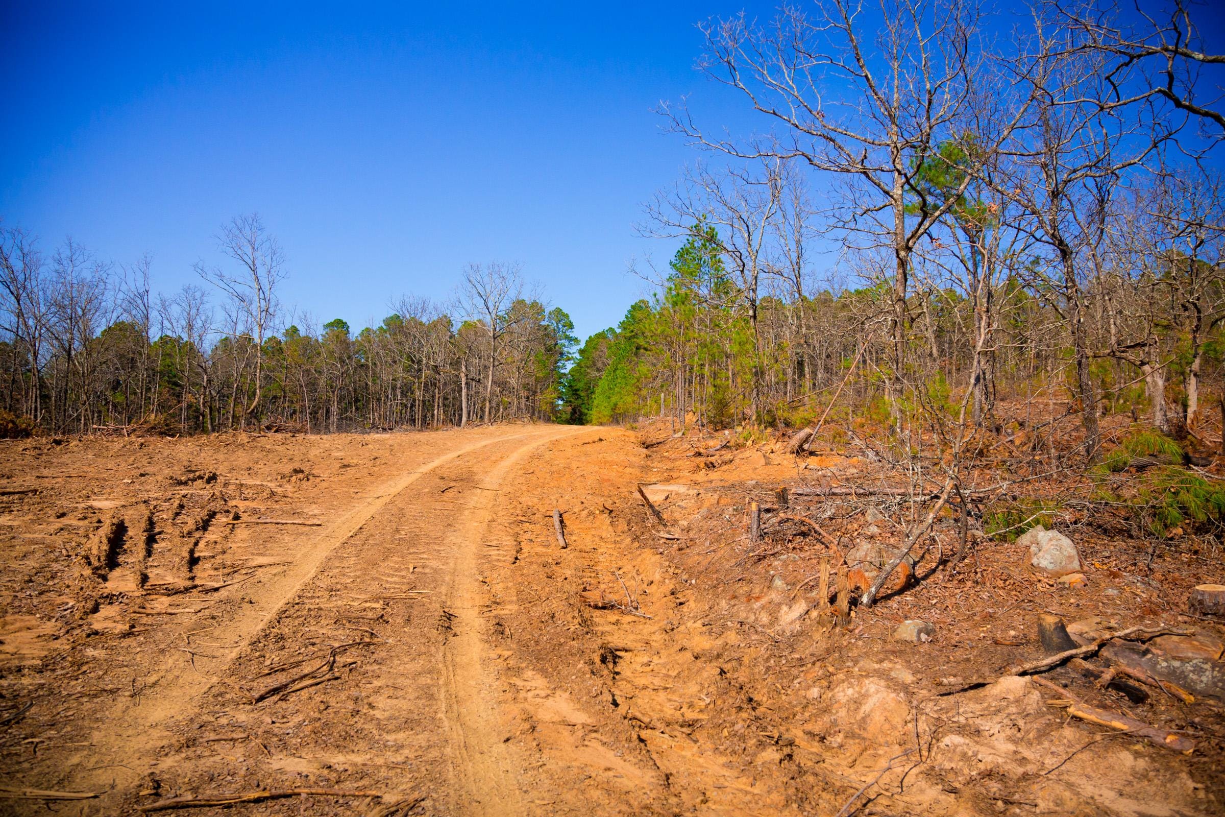 Stone Creek Phase II Tract 96 photo 8