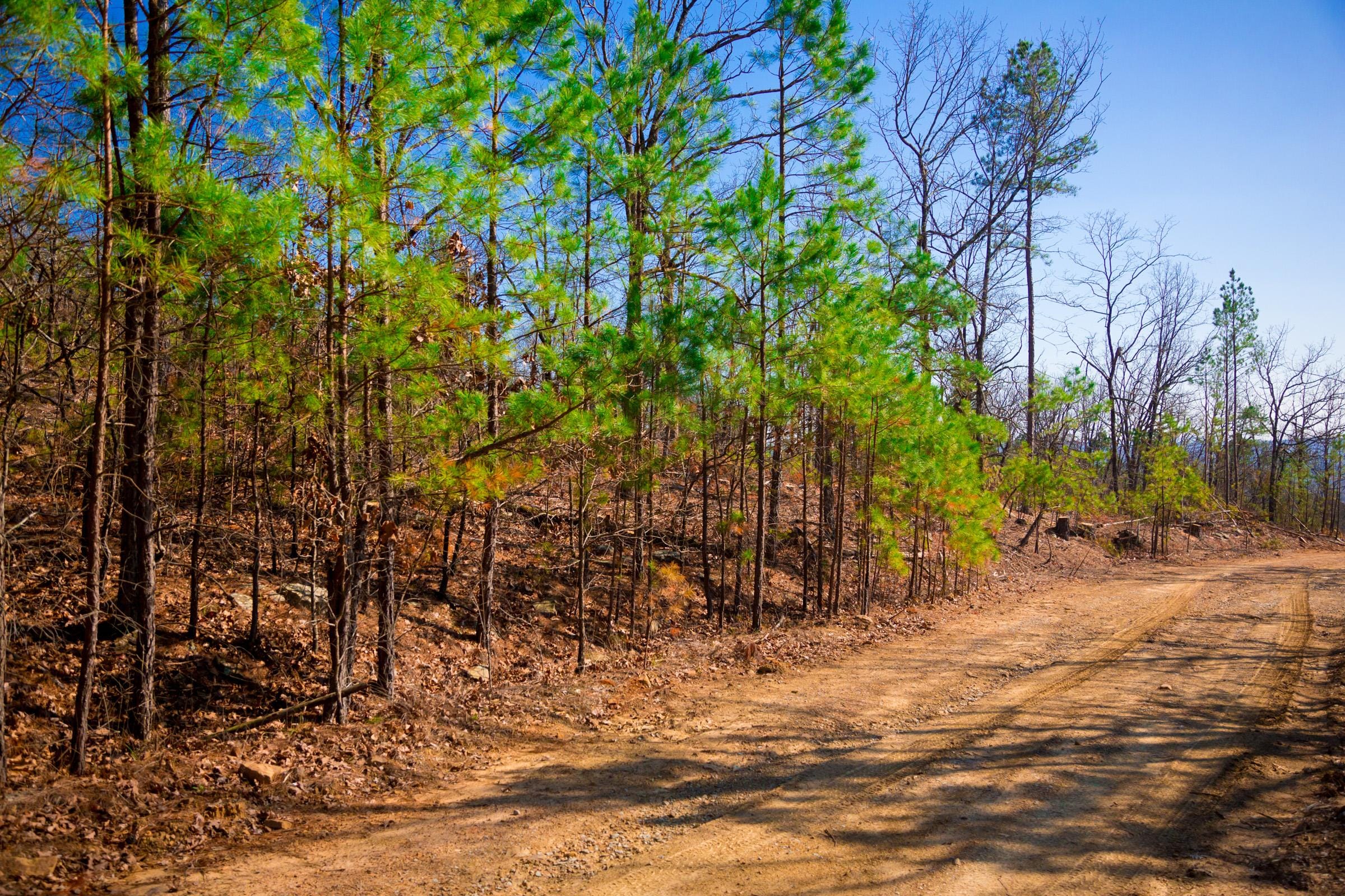 Stone Creek Phase II Tract 96 photo 9