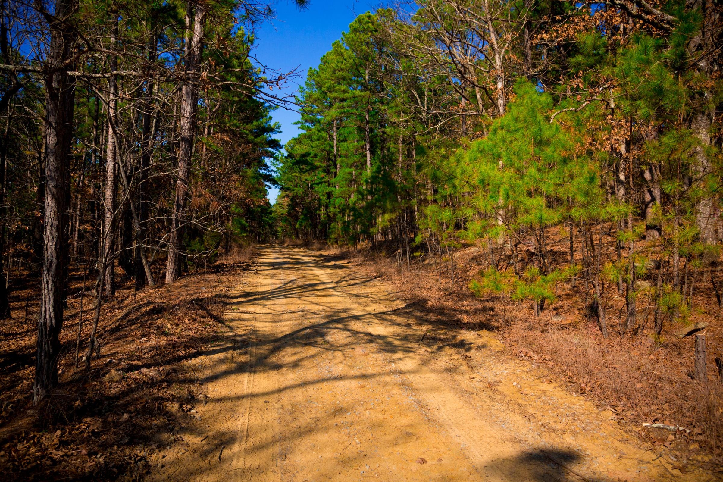 Stone Creek Phase II Tract 96 photo 10