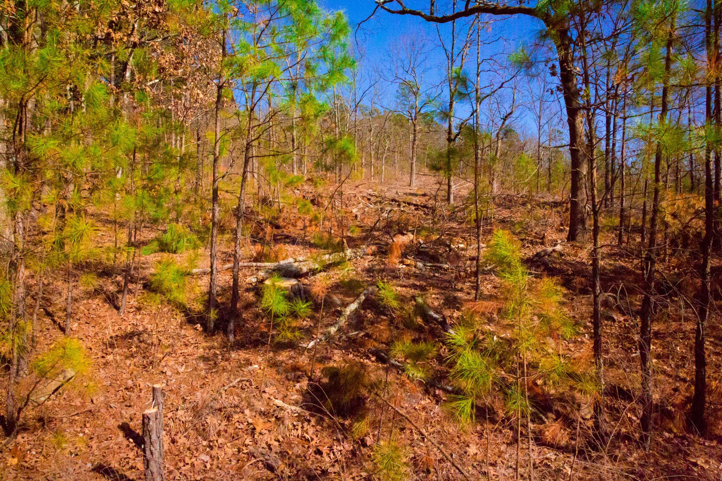 Stone Creek Phase II Tract 96 photo 11