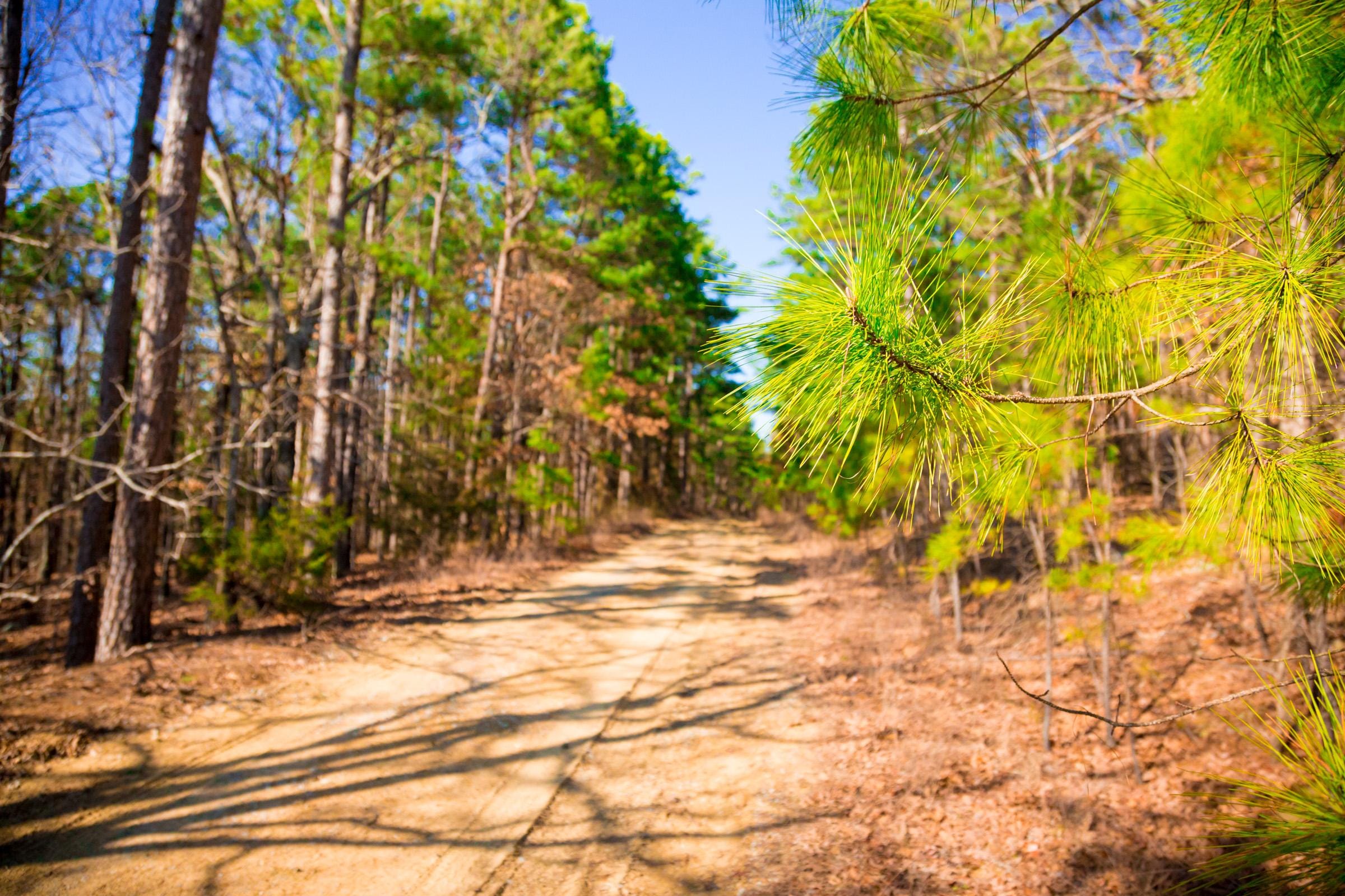 Stone Creek Phase II Tract 96 photo 12