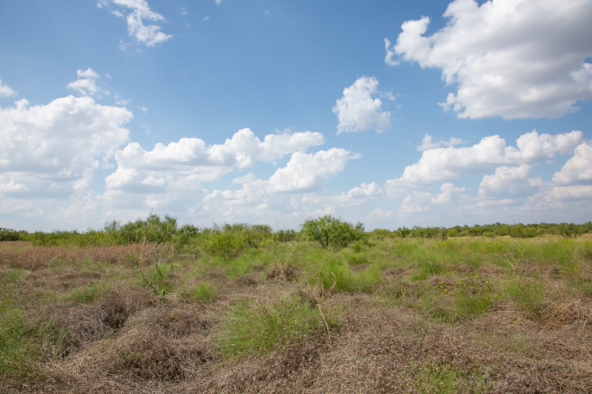 Hunter’s Ranch Tract 21 photo 2