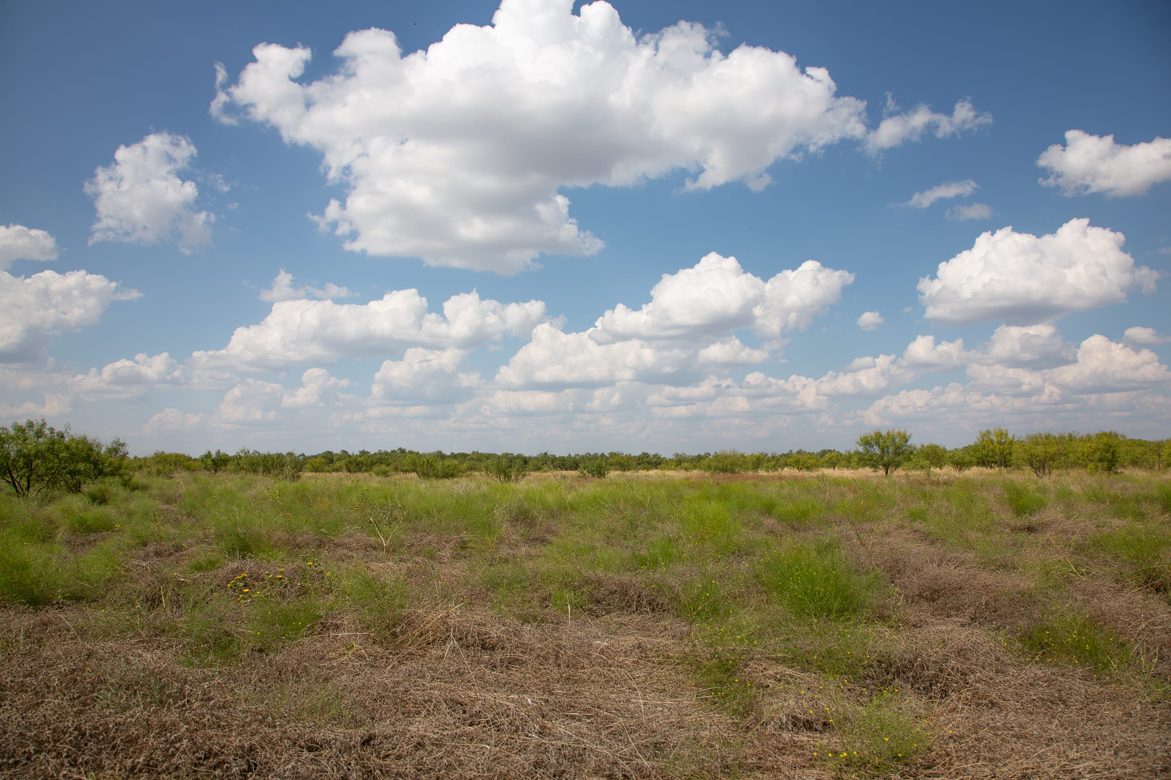 Hunter’s Ranch Tract 21 photo 3